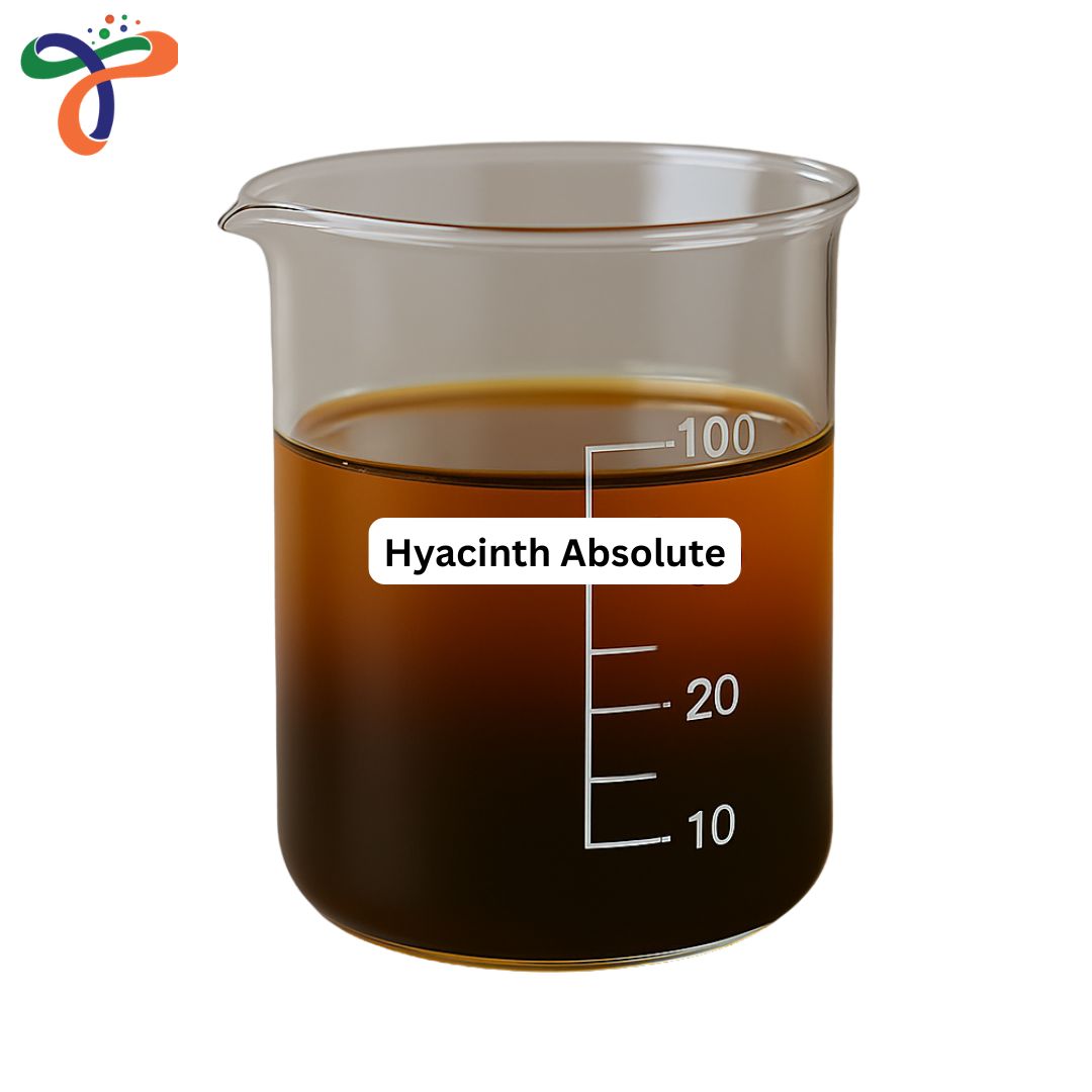 Hyacinth Absolute